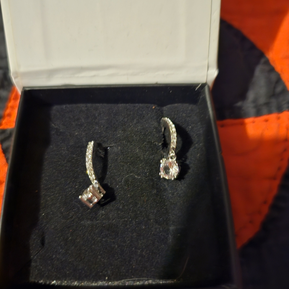 Elegant Silver and Clear Crystal Earrings